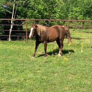 Meet your Posher, Karin